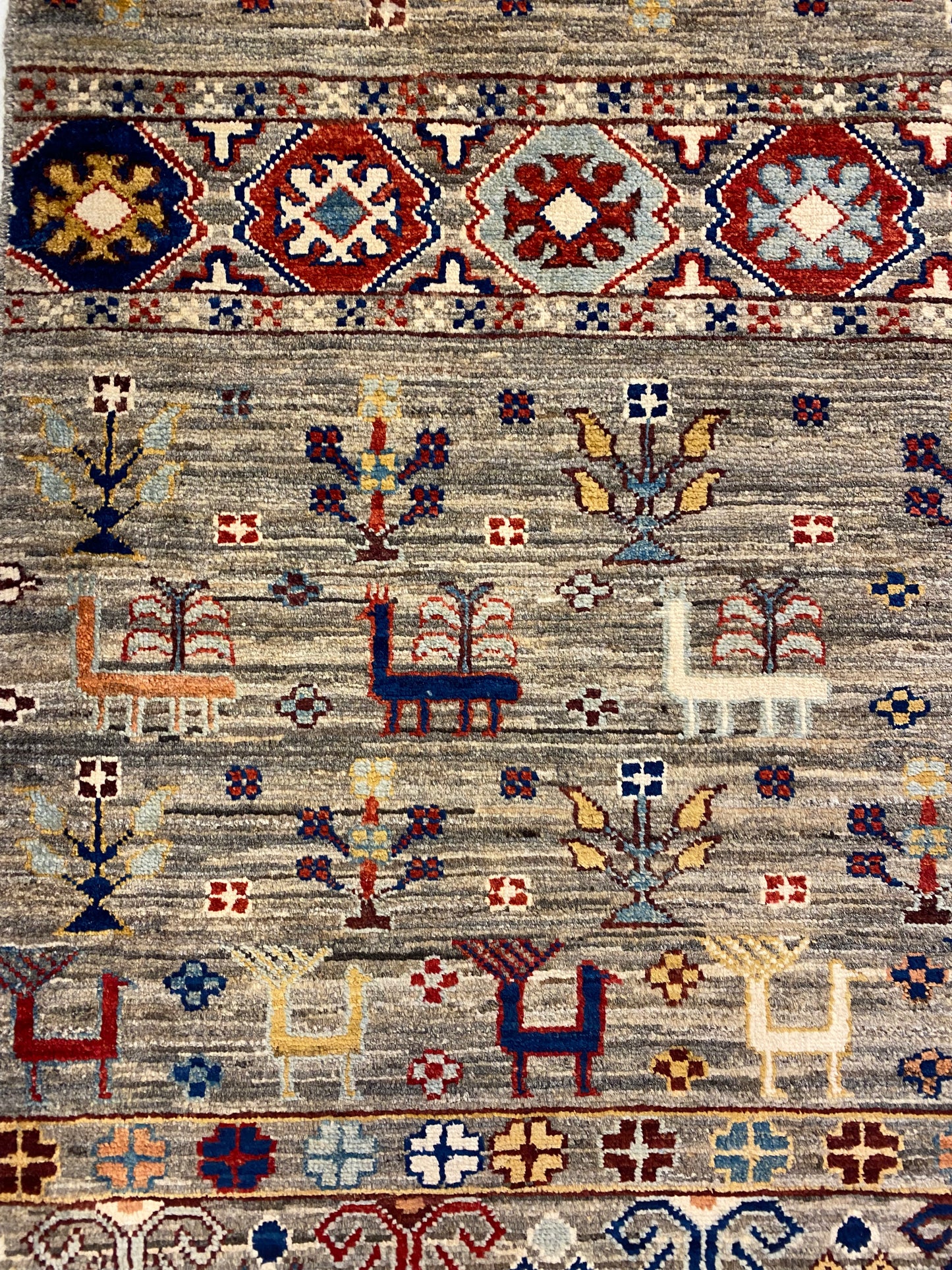Shasavan 330 X 257 Cm