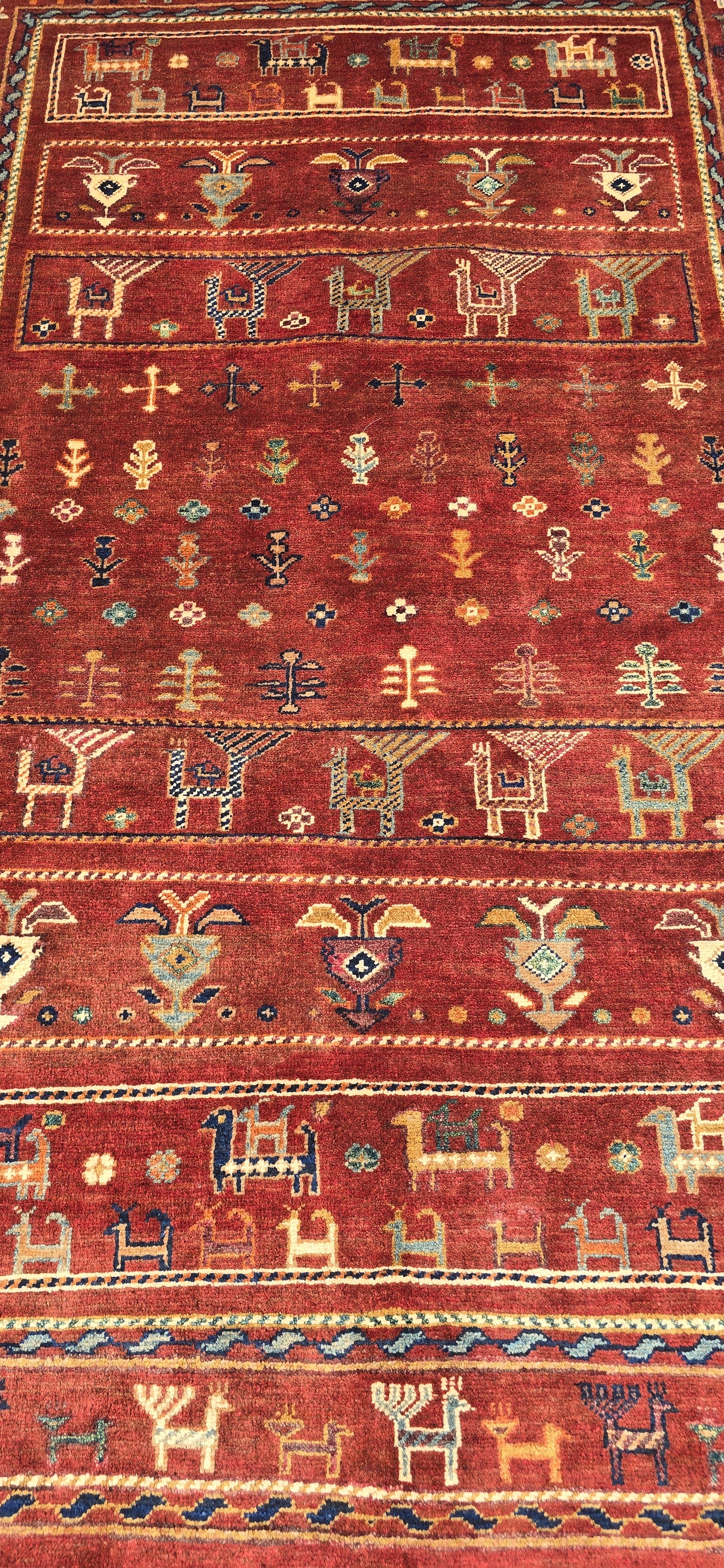 Shasavan 242 X 177 Cm