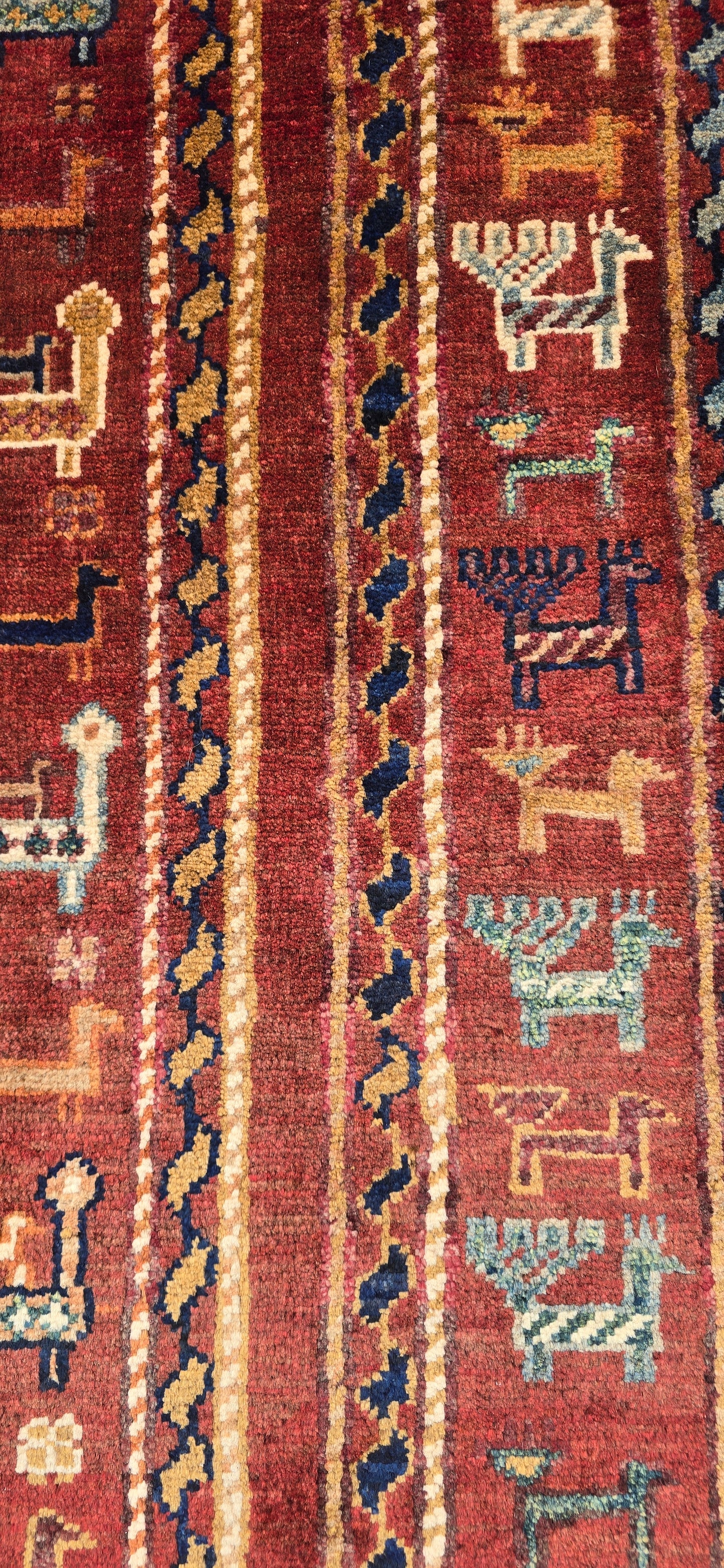 Shasavan 242 X 177 Cm