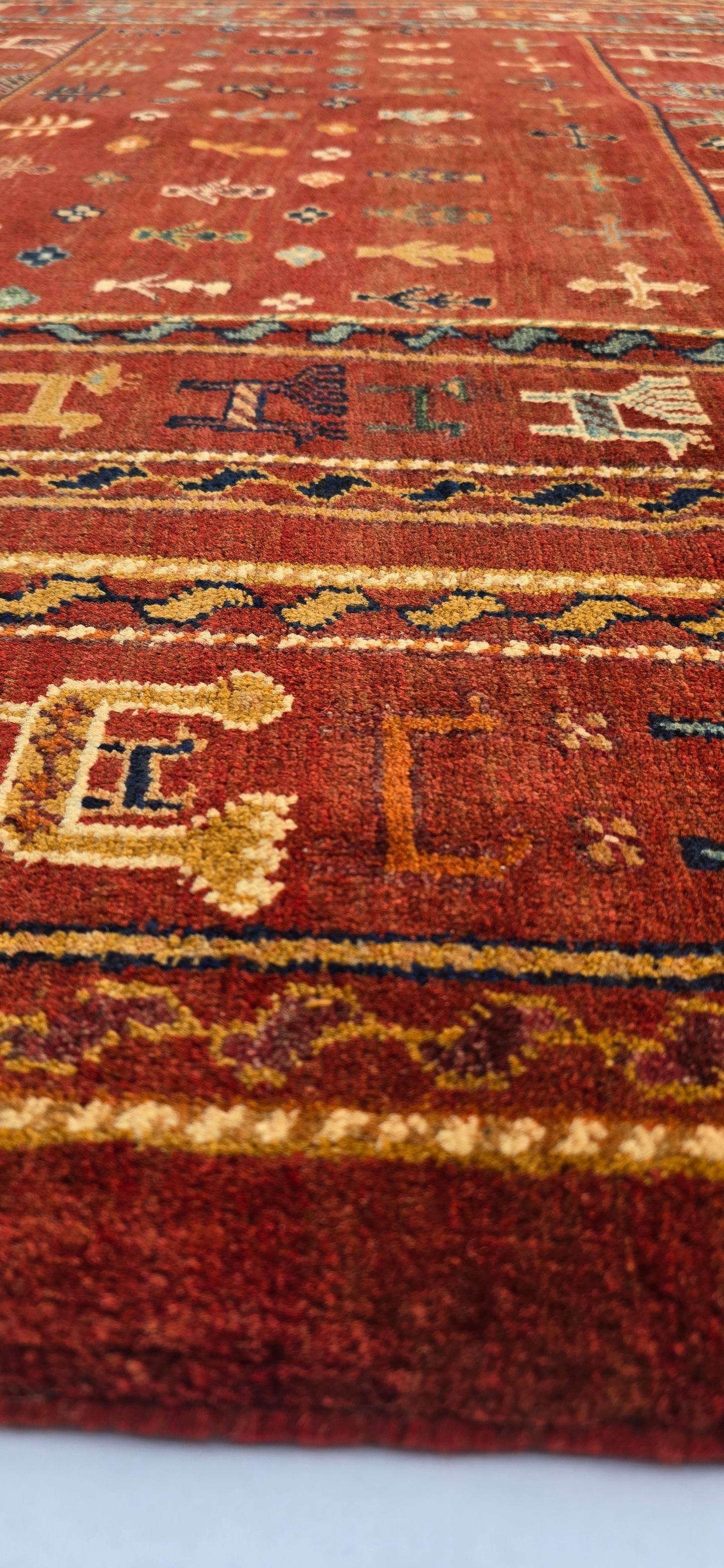 Shasavan 242 X 177 Cm