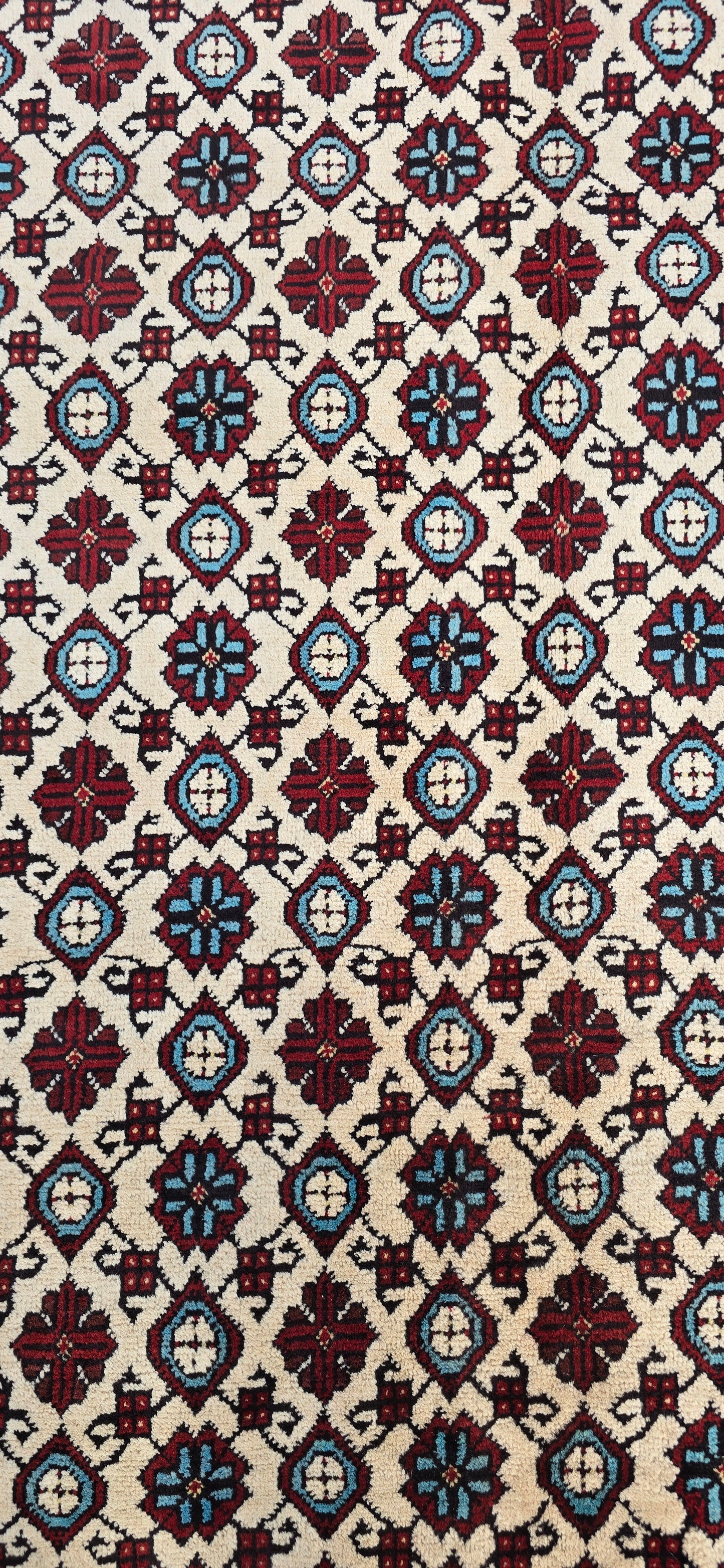 Bashirri 290 X 193 Cm
