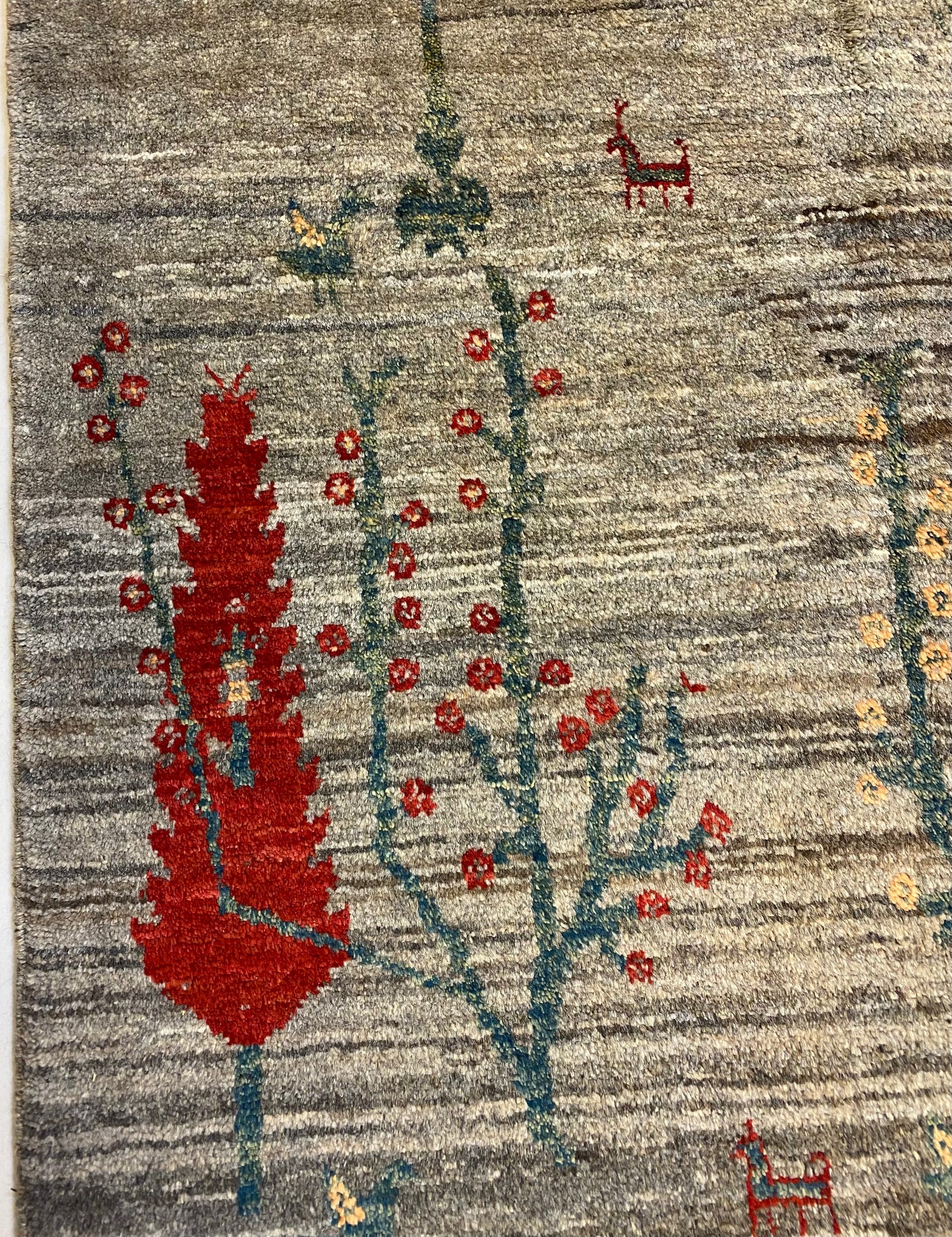 Shasavan 290 X 252 Cm