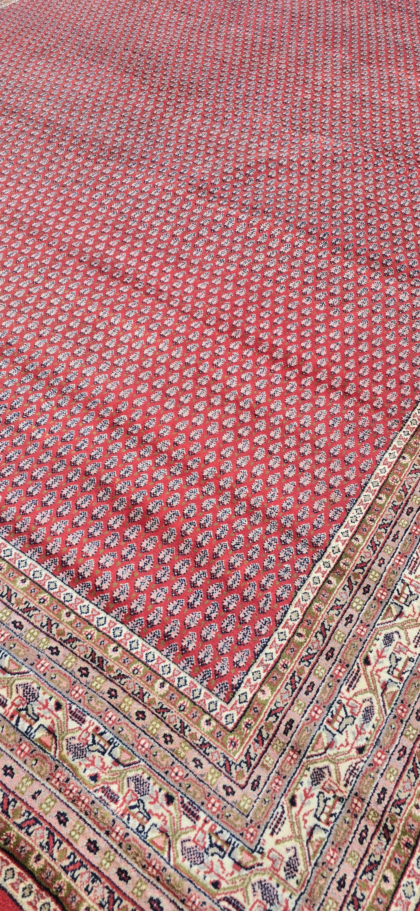 Mir Vloerkleed 390 X 293 Cm